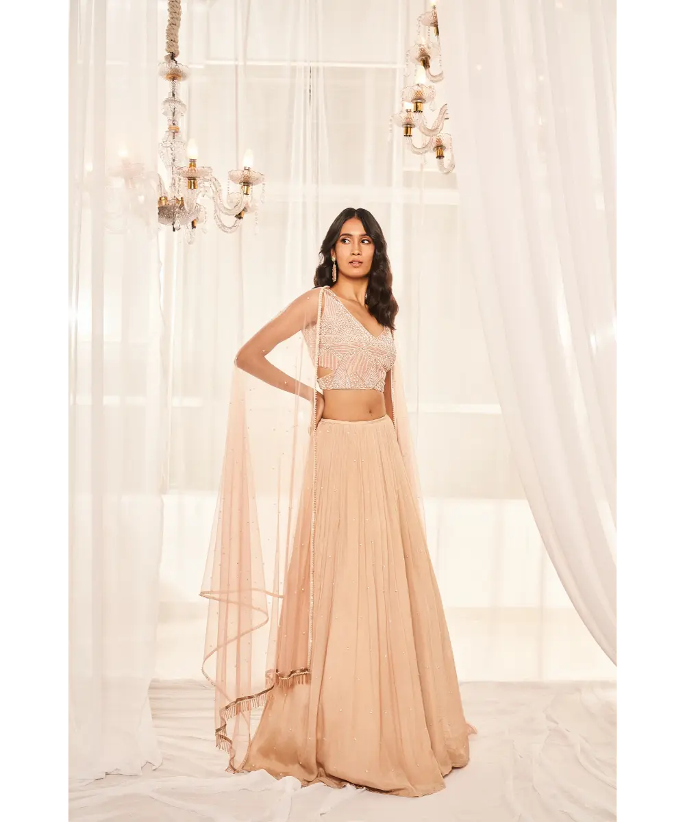DISHA MUCHHALA- Blush Pink Lehenga Set